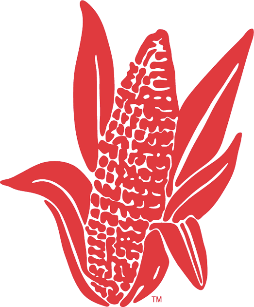 Nebraska Cornhuskers 1962-1973 Alternate Logo iron on transfers for T-shirts